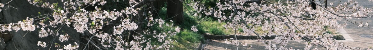 Позёмкаのブログ